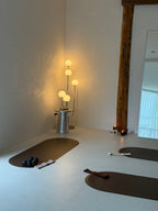 Resistance Bands  |  Premium Edition